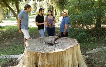 Photo of González Rojas: “La nueva campaña municipal de plantación de árboles no paliará el daño causado por Espadas a las zonas verdes de la ciudad”