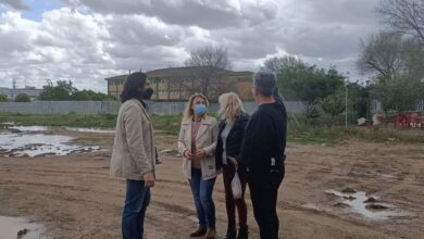 Photo of Unidas Podemos propone hacer huertos urbanos en los suelos sin uso entre San José de Palmete y Honestidad en Sevilla