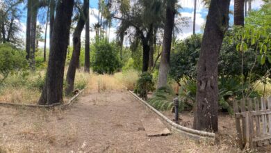 Photo of IU denuncia el completo abandono del Parque de Blancanieves y las promesas incumplidas para su puesta a punto