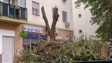 Photo of IU advierte que muchos de los daños ocasionados por el temporal en Sevilla Este  podrían haberse evitado