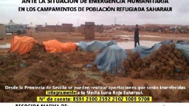 Photo of IU propone una declaración institucional del Pleno en apoyo al pueblo saharaui