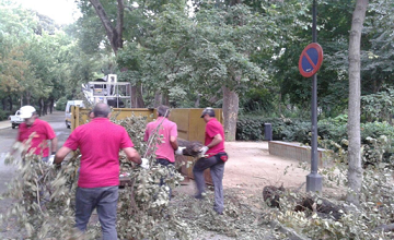 Photo of Rojas: “Las últimas privatizaciones confirman la incapacidad de Espadas para acabar con el nefasto mantenimiento que sufren nuestras zonas verdes”
