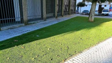 Photo of IU tilda de “despropósito” la colocación de césped artificial en alcorques y parterres del Distrito San Pablo-Santa Justa