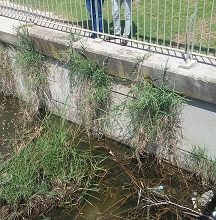 Photo of IU critica la falta de mantenimiento del río a su paso por San Jerónimo y exige “medidas urgentes” para acabar con su “actual abandono”
