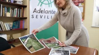 Photo of Adelante pide explicaciones por el abandono del Centro Deportivo Bermejales II