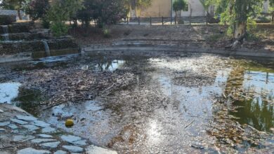 Photo of Eva Oliva denuncia la falta de limpieza en los estanques del Parque de Miraflores