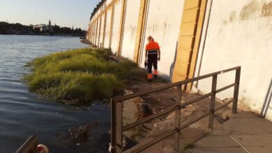 Photo of Oliva pide una solución a los problemas con el catamarán que limpia el río Guadalquivir y que lleva parado desde el 30 de agosto