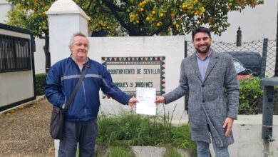 Photo of Ismael Sánchez demanda a Parques y Jardines mayor transparencia en la información sobre alcorques vacíos