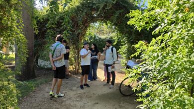Photo of IU denuncia el abandono y la falta de planificación en el Parque de María Luisa tras una visita con vecinos y usuarios