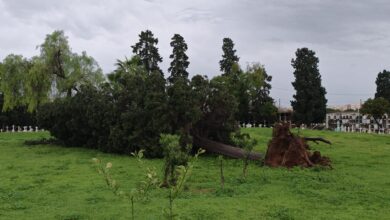 Photo of Temporal y presencialidad de la plantilla municipal (Pregunta para la Comisión de Control-Febrero 2026)